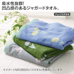 薄手ジャガード抗菌フィエスタオル
