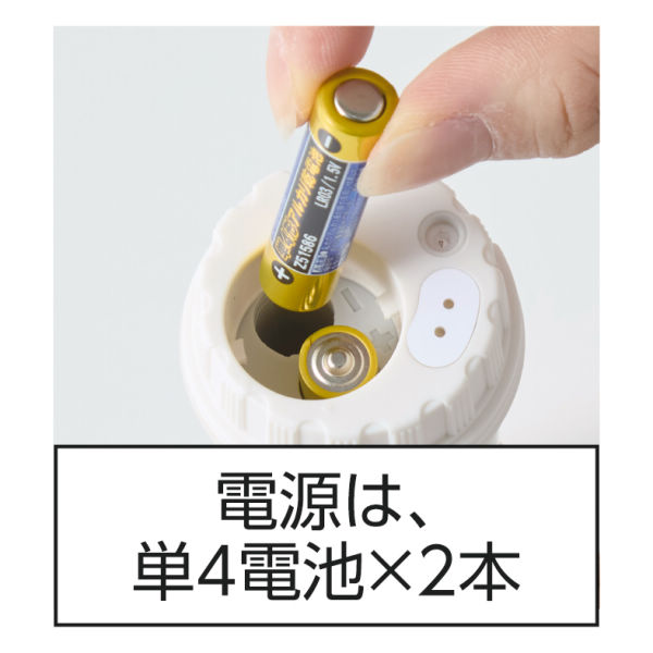 商品写真