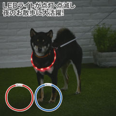 お散歩リング
