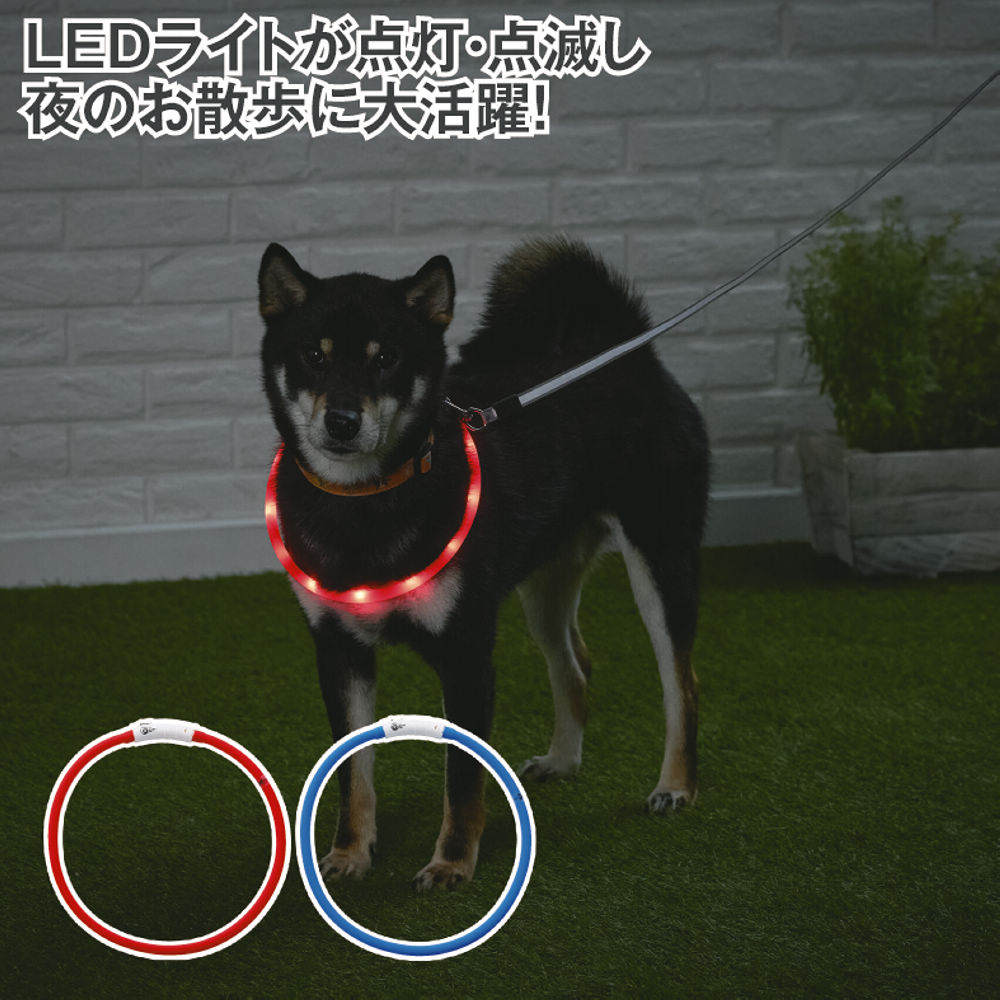 商品写真