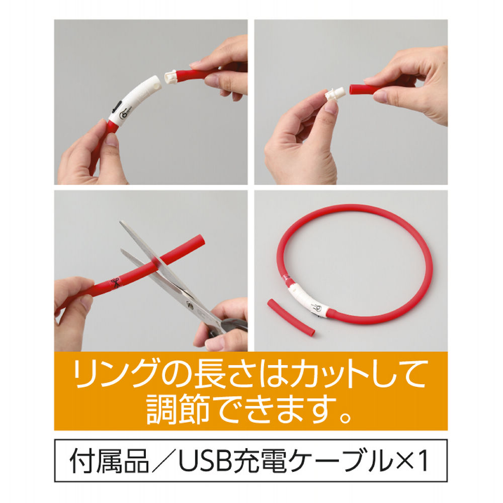 商品写真