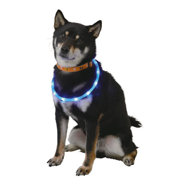 商品写真