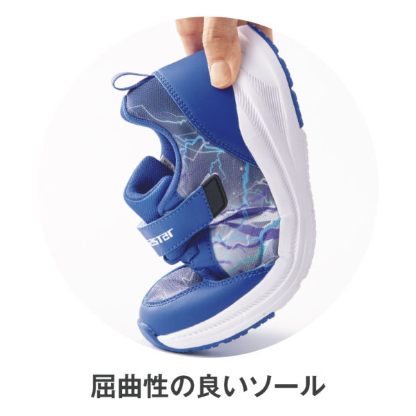 商品写真