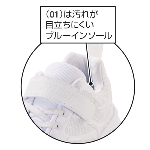商品写真
