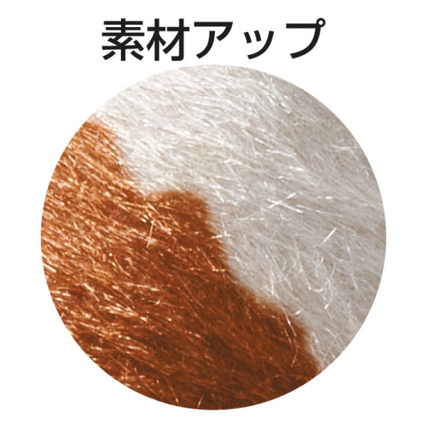 商品写真