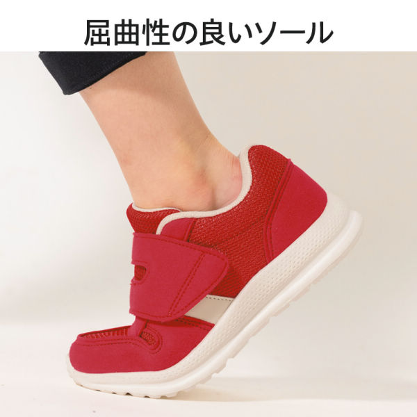 商品写真